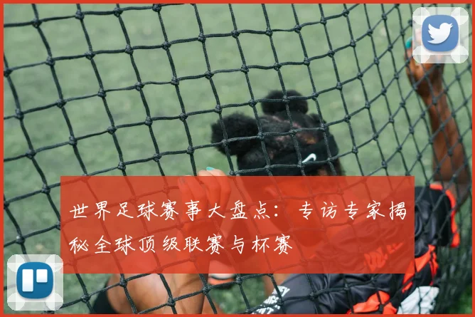 世界足球赛事大盘点:专访专家揭秘全球顶级联赛与杯赛